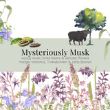 Raumduft Duftstäbchen Mysteriously Musk