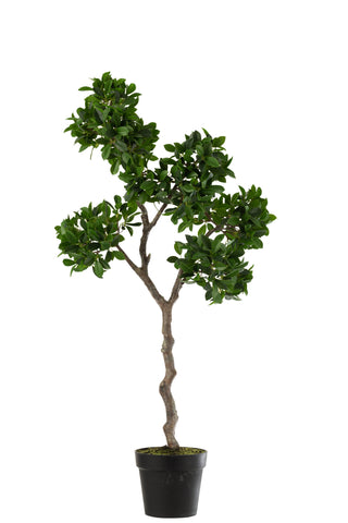 Ficus Baum Im Topf Plastik Grün/Schwarz Large