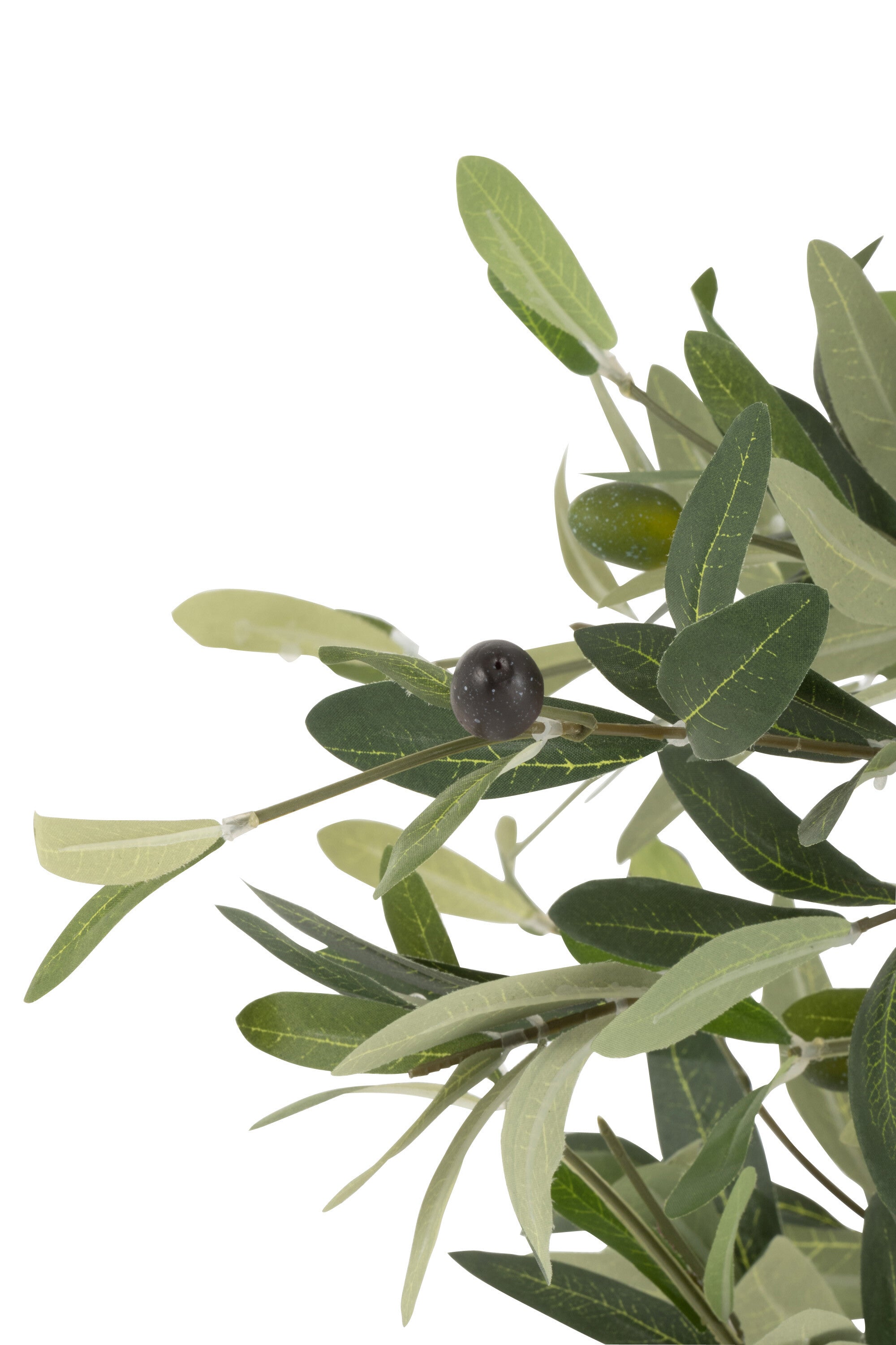 Olivenbaum In Topf Plastik Grün Large