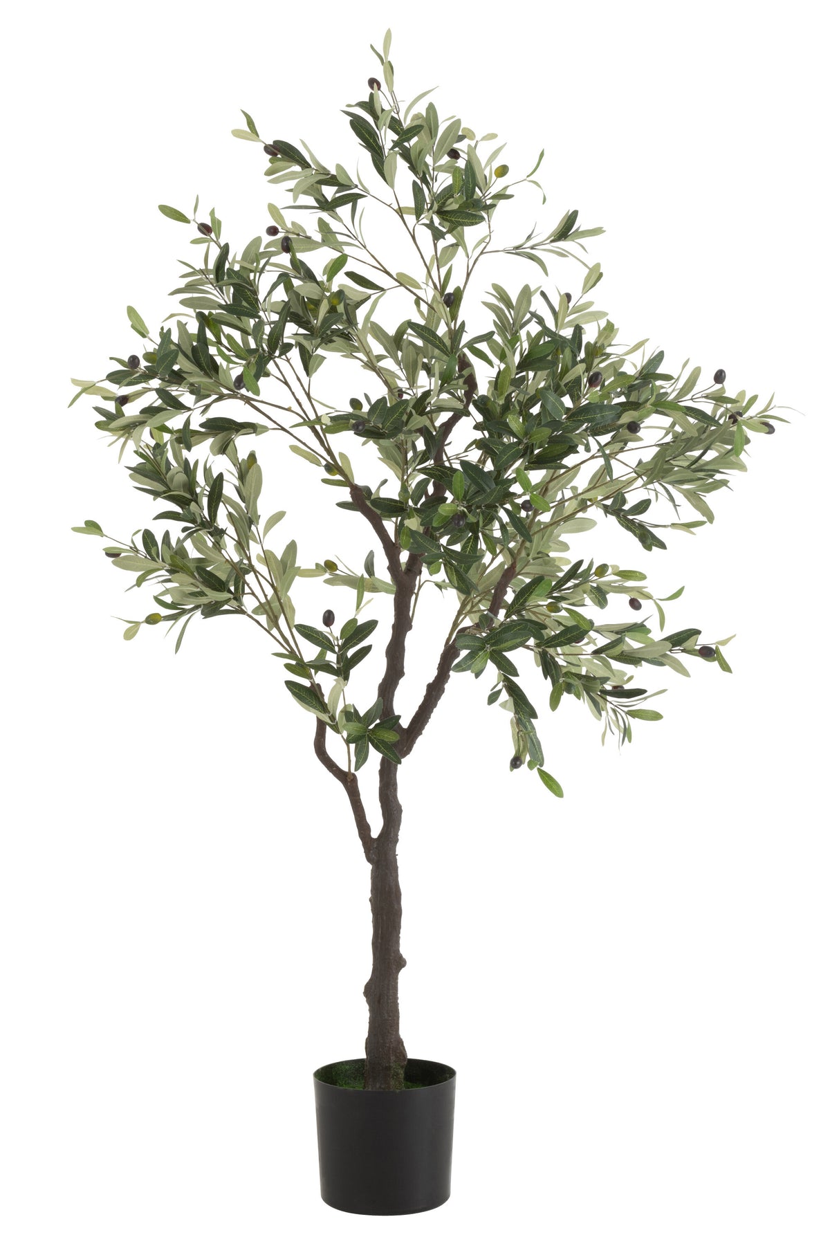 Olivenbaum In Topf Plastik Grün Large