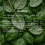 Basilicum Raumspray 500ml – Basilikum, Hotel Scents, aromatisch