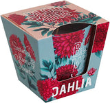 dahlia-kerze-bohoria